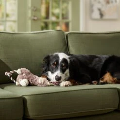 Frisco Monkey Plush With Rope Squeaky Dog Toy & Frisco Cow Plush With Inside Rope Squeaky Dog Toy -Pet Toys Store 961998 PT4. AC SS1800 V1694784009