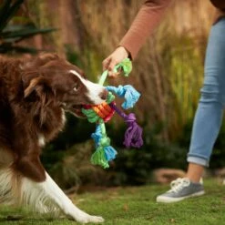 Frisco Fetch Colorful Ball Knot Rope Dog Toy & Frisco Monkey Plush With Rope Squeaky Dog Toy -Pet Toys Store 962014 PT2. AC SS1800 V1694784008