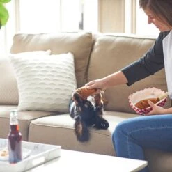 Frisco Corndog Interactive Plush Squeaky Dog Toy & Frisco Guacamole Hide & Seek Puzzle Plush Squeaky Dog Toy 14 Frisco Corndog Interactive Plush Squeaky Dog Toy & Frisco Guacamole Hide & Seek Puzzle Plush Squeaky Dog Toy -Pet Toys Store 962086 PT3. AC SS1800 V1694782979