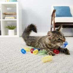 Frisco Colorful Springs Cat Toy & Frisco Bird With Feathers Teaser Wand Cat Toy With Catnip -Pet Toys Store 962126 PT4. AC SS1800 V1694782923