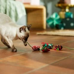 Frisco Holiday Moppy Ball Cat Toy With Catnip, 3 Count & Frisco Holiday Mice Cat Toy With Catnip, 5 Count -Pet Toys Store 986150 PT7. AC SS1800 V1698258116