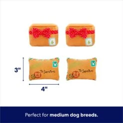 Frisco Holiday Hot Cocoa Hide & Seek Puzzle Plush Squeaky Dog Toy & Frisco Holiday North Pole Mailbox Hide & Seek Puzzle Plush Squeaky Dog Toy -Pet Toys Store 986166 PT7. AC SS1800 V1698258463