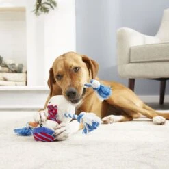 Frisco Holiday Snowman Plush With Rope Squeaky Dog Toy & Frisco Holiday Reindeer Plush With Rope Squeaky Dog Toy -Pet Toys Store 986174 PT4. AC SS1800 V1698258345