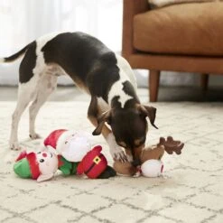 Frisco Holiday Santa's Helpers Plush Squeaky Dog Toy, 3 Count & Frisco Holiday Lights Plush With Rope Squeaky Dog Toy 13 Frisco Holiday Santa's Helpers Plush Squeaky Dog Toy, 3 Count & Frisco Holiday Lights Plush With Rope Squeaky Dog Toy -Pet Toys Store 986206 PT4. AC SS1800 V1698257788