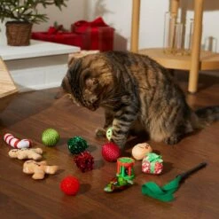 Frisco Holiday Festive Red Variety Pack Gift Box Cat Toy With Catnip, 14 Count & Frisco Holiday Mice Cat Toy With Catnip, 5 Count -Pet Toys Store 986270 PT4. AC SS1800 V1698258464