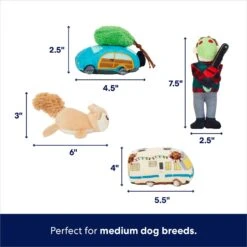 Frisco Holiday House Hide & Seek Puzzle Plush Squeaky Dog Toy & Frisco Holiday North Pole Mailbox Hide & Seek Puzzle Plush Squeaky Dog Toy -Pet Toys Store 986286 PT3. AC SS1800 V1698257799