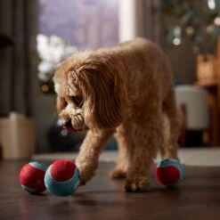 Frisco Holiday Ho Ho Ho Fetch Squeaky Tennis Ball Dog Toy & Frisco Holiday Arctic Friends Stuffing-Free Skinny Plush Squeaky Dog Toy 15 Frisco Holiday Ho Ho Ho Fetch Squeaky Tennis Ball Dog Toy & Frisco Holiday Arctic Friends Stuffing-Free Skinny Plush Squeaky Dog Toy -Pet Toys Store 986310 PT4. AC SS1800 V1698257790